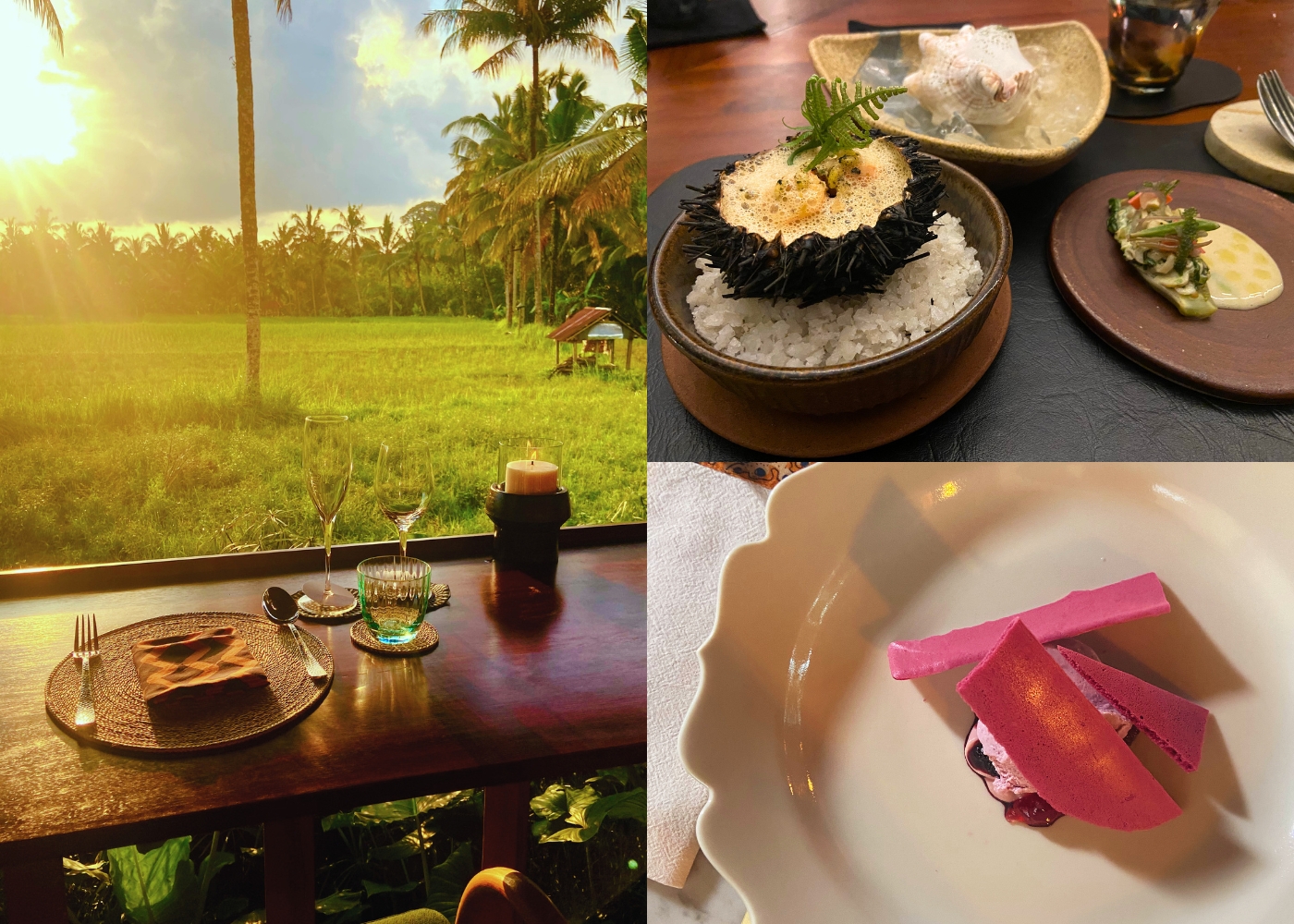 Rice paddy view from Begawan Biji, seafood course at KU culinary atelier at Syrco Base, dessert at room4dessert - best restaurants in Ubud, Bali, for dinner