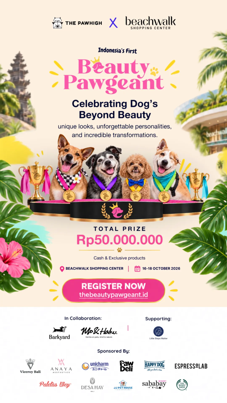 BEAUTY PAWGEANT: Every dog is uniquely beautiful