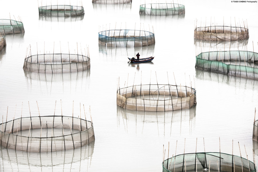 Blue Lotus Gallery | art galleries in Hong Kong