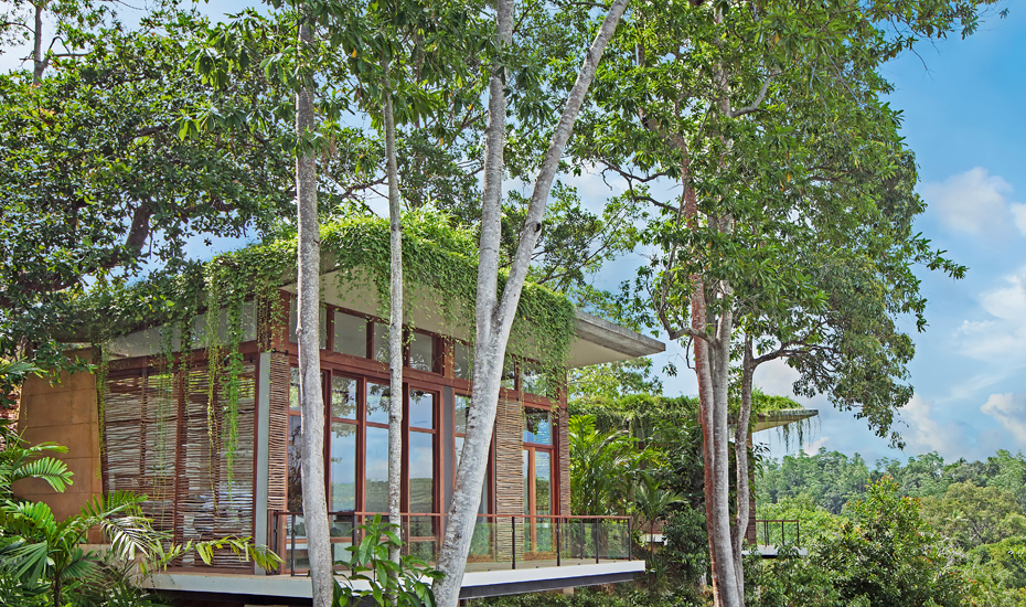 Tri Lanka: Here’s a hidden sanctuary in Sri Lanka that you must pamper yourself in