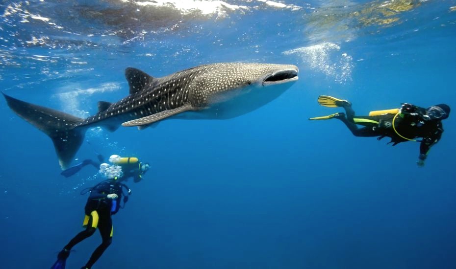 Adventure holidays in Southeast Asia: Best treks, tours and outdoor activities including wreck diving, caving and quad biking