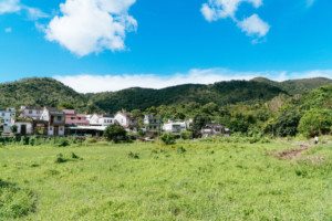 A guide to Hakka villages: Hike your way through the beautiful Wu Kau Tang Country Trail