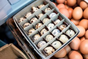 For the love of Hong Kong eggs! We examine the interesting selection of eggs available in the city