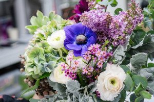 Colour mania: Uncover flower colour meanings and add some good vibes to your home