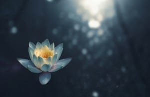 Take some me time: Heal your mind, body, and soul at these meditation centres in Hong Kong