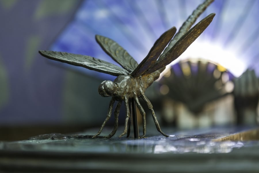 Dragonfly