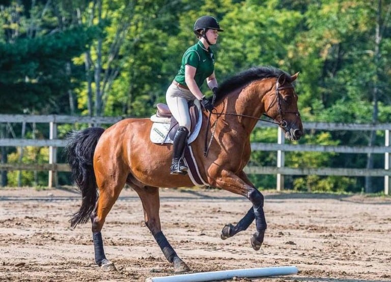 Romantic things to do in Hong Kong to impress your date