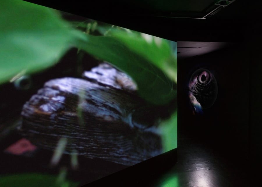rei hayama experimental art screens black cube