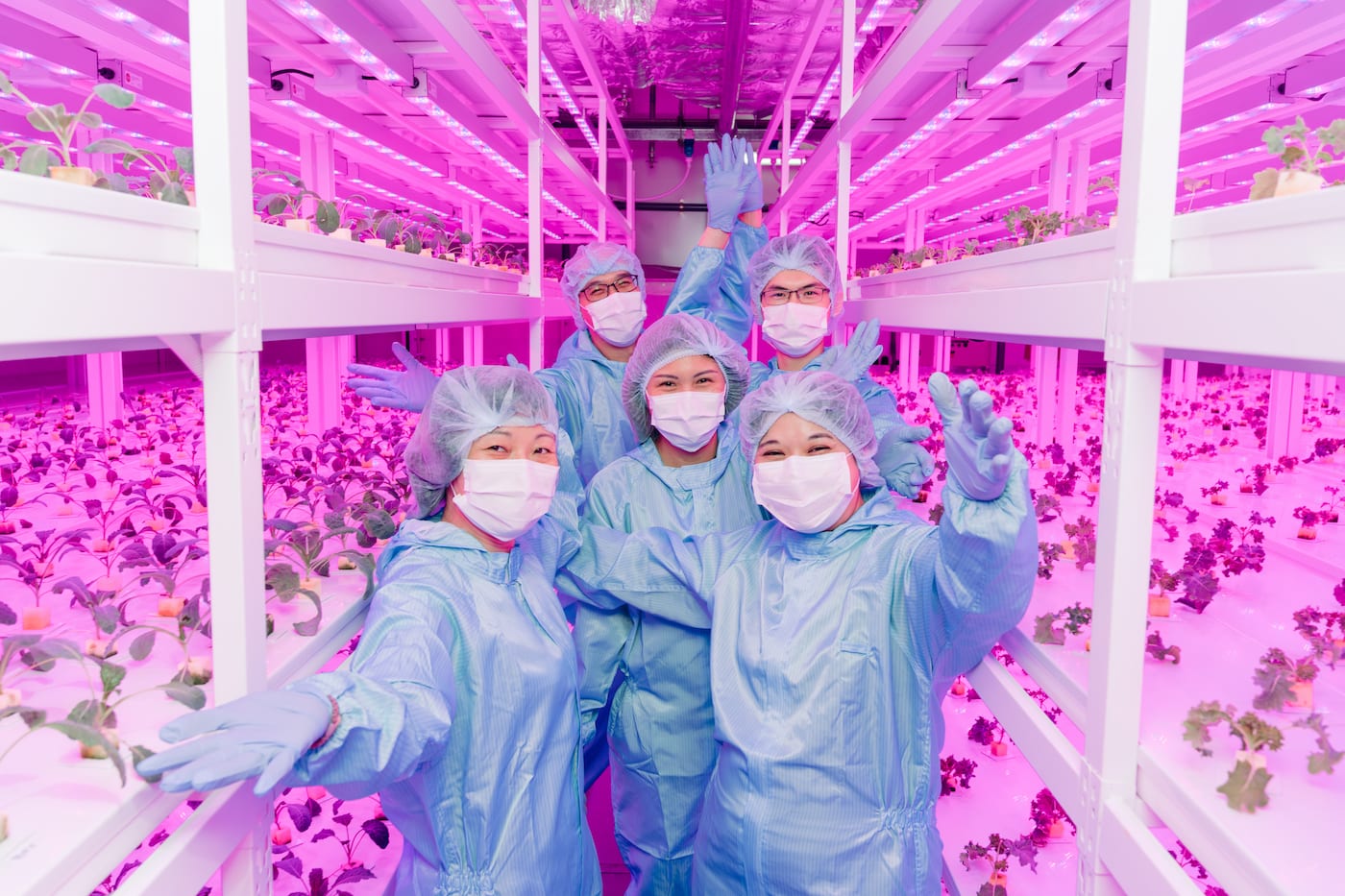 people wearing blue scrubs in vertical farm