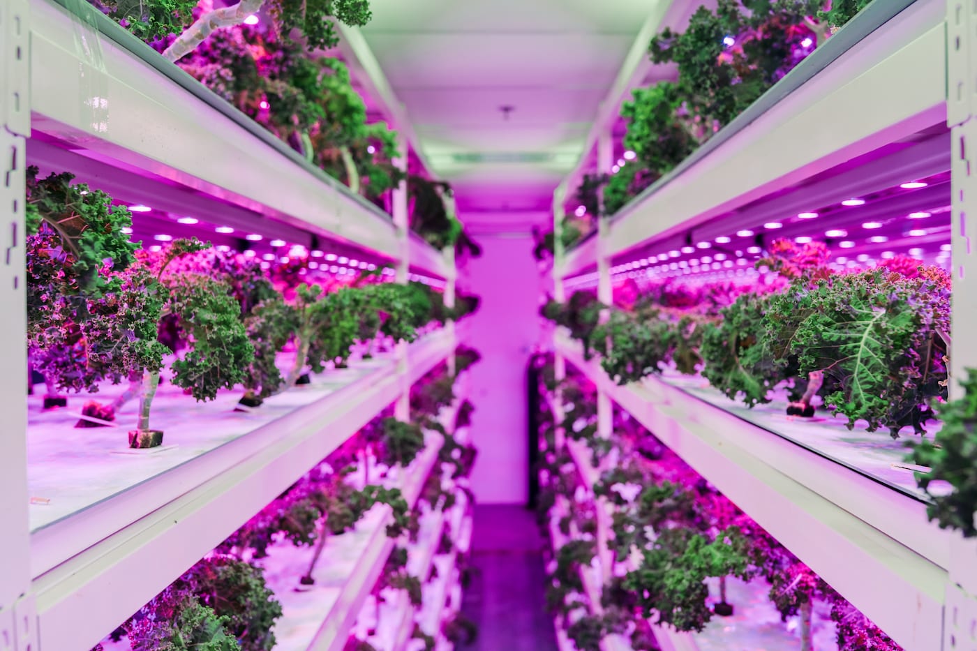 Get excited lovers of locally grown (and tasty!) produce, as Sustenir Agriculture is launching in Hong Kong