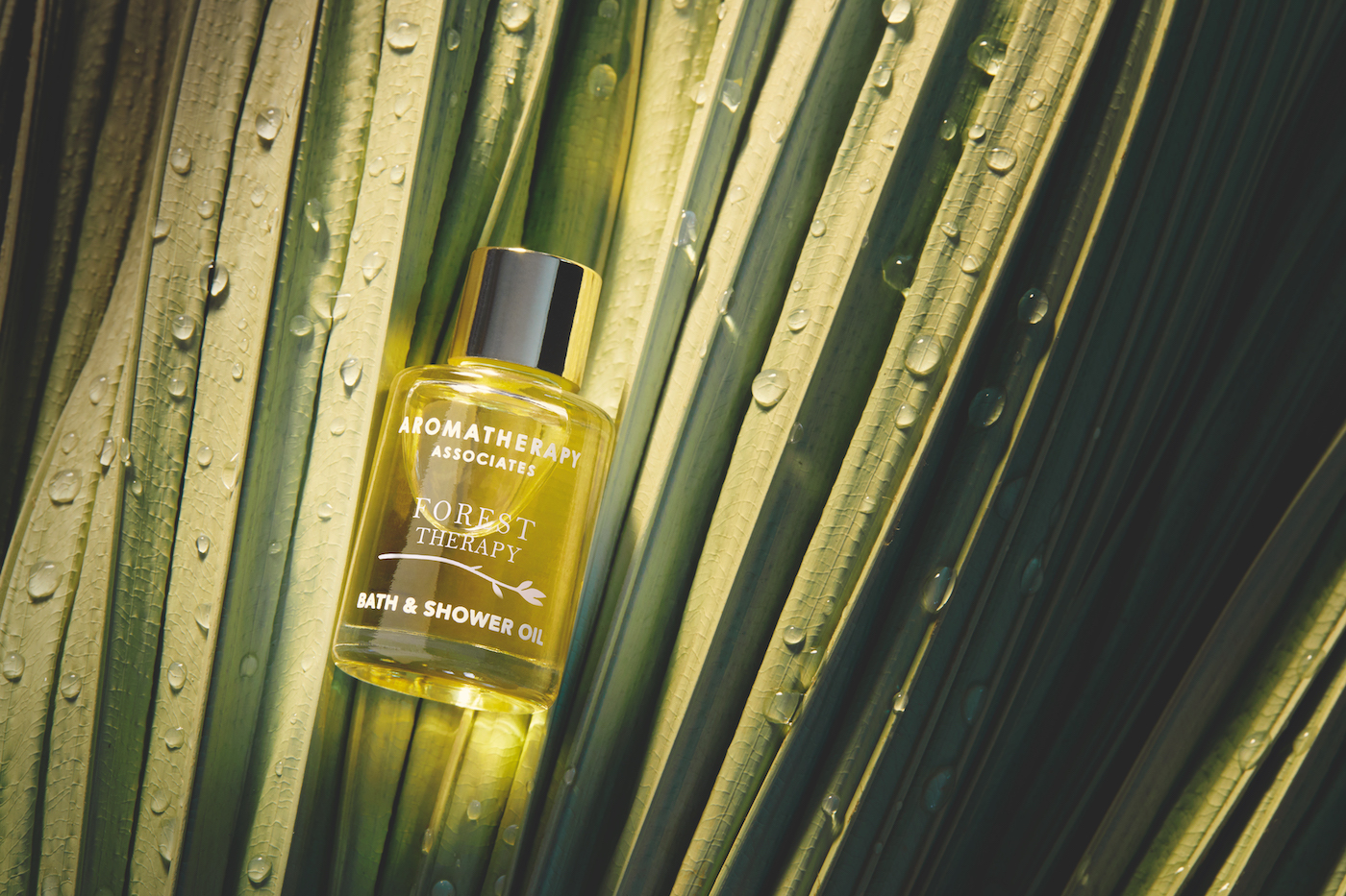 Aromatherapy Associates Forest Therapy shower oil