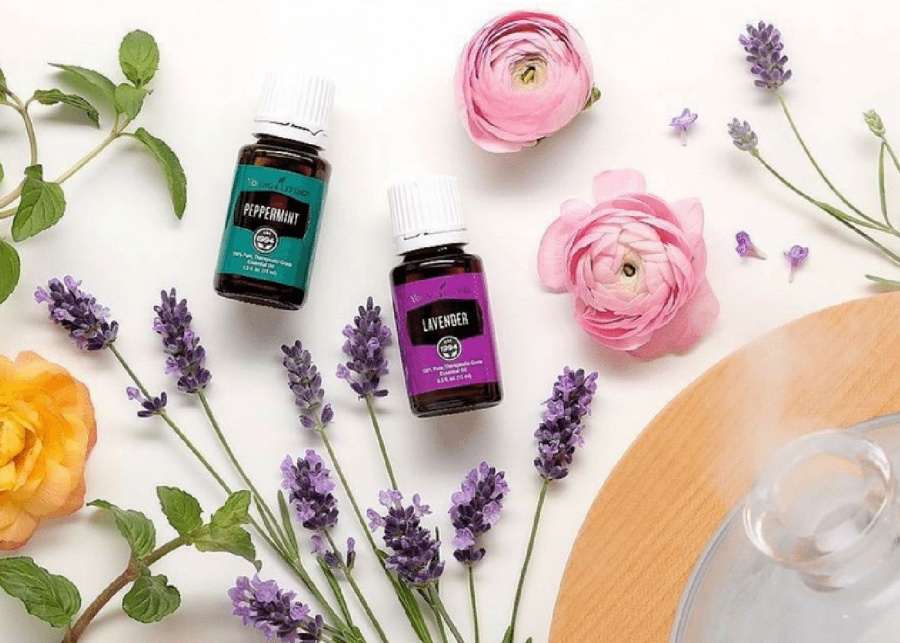 buy essential oils in Hong Kong young living essential oils