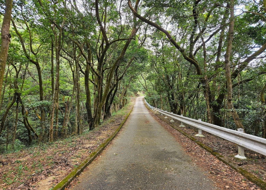 things to do in kowloon tong beacon hill