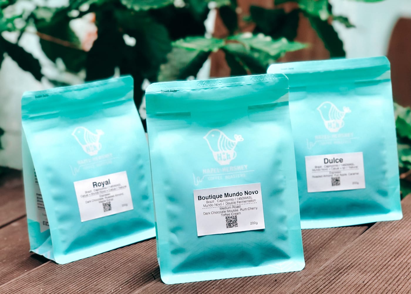 Get your beans from these coffee roasters in Hong Kong