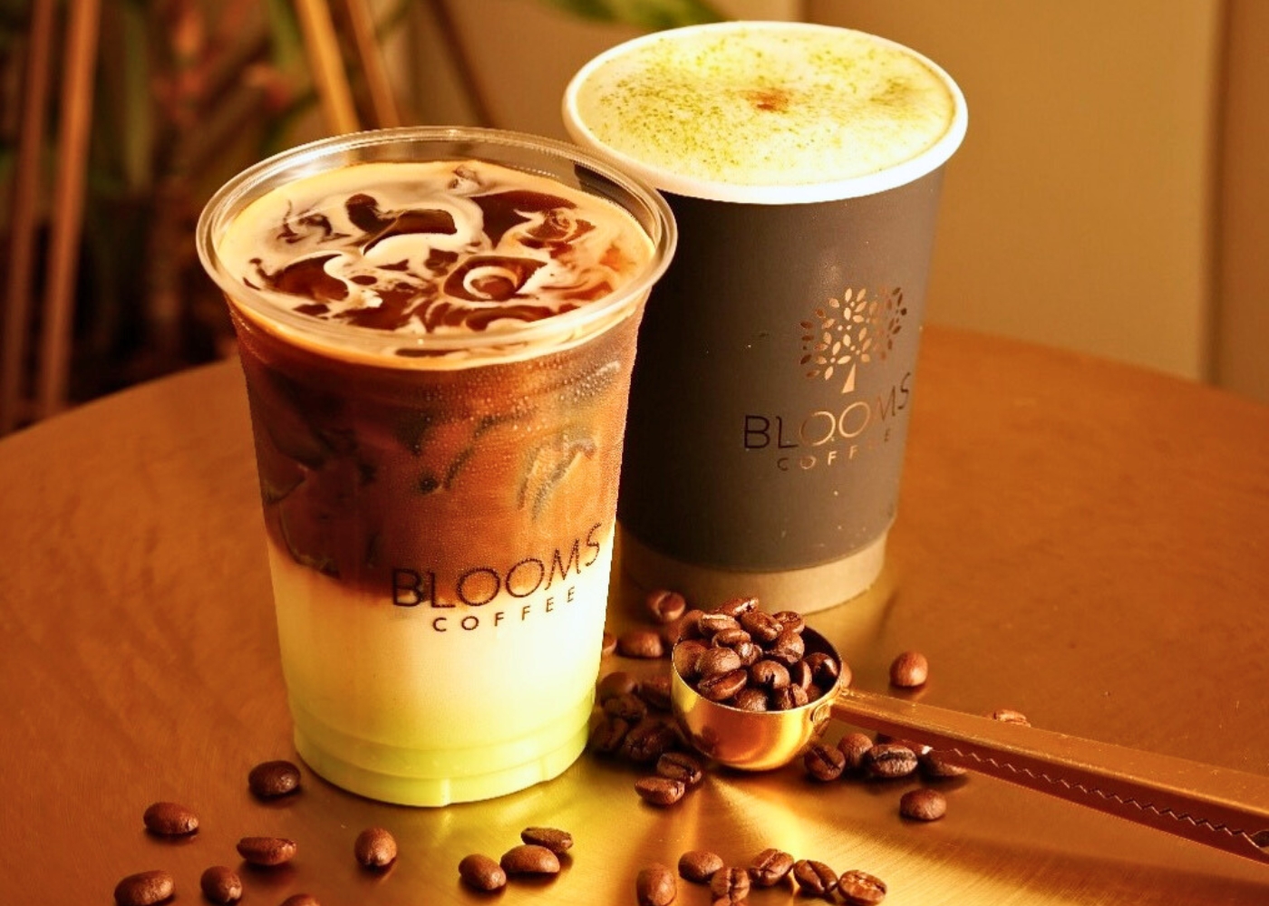 best cafe central market blooms coffee