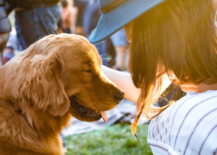 Need a helping hand with your furbaby? These dog trainers in Hong Kong will have you sorted