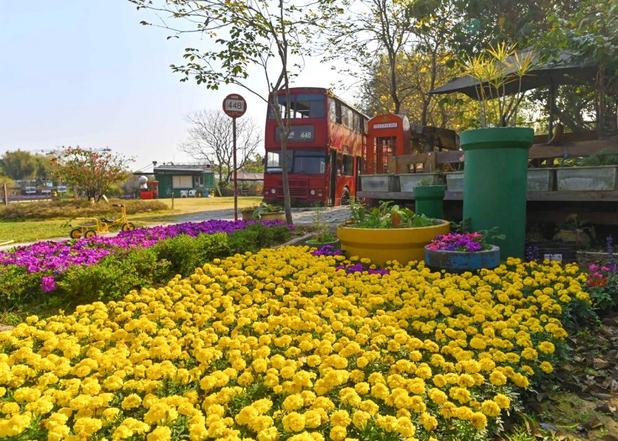 farms in hong hong 448