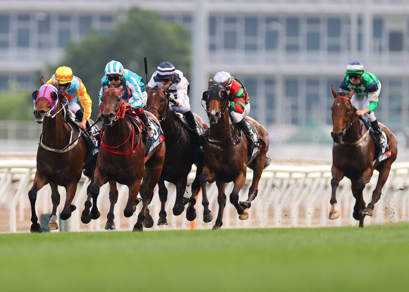 Hk Racing History 70 things to do in Hong Kong: Our ultimate guide | Honeycombers