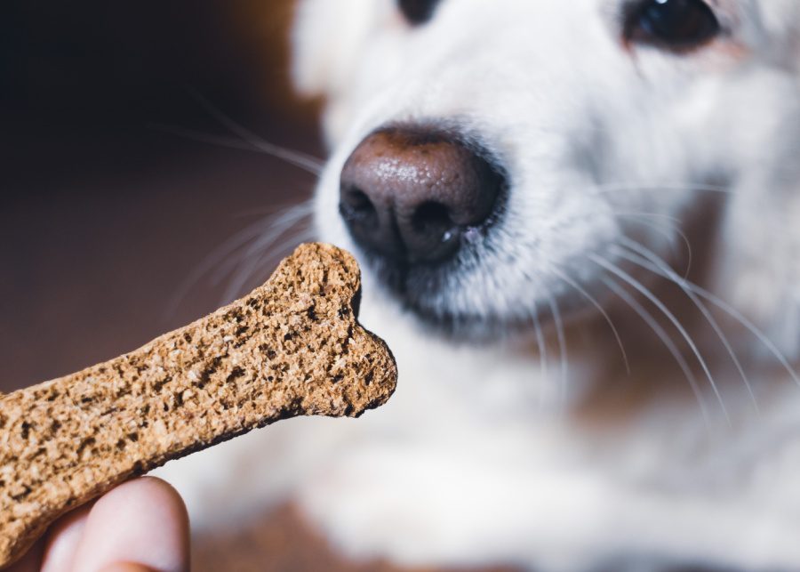 Furry favourites: Here are the best locally made pet food in Hong Kong