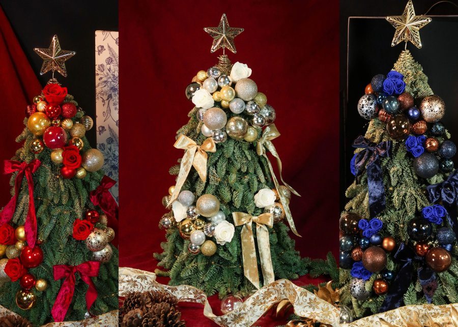 Buy Christmas trees in Hong Kong from these spots