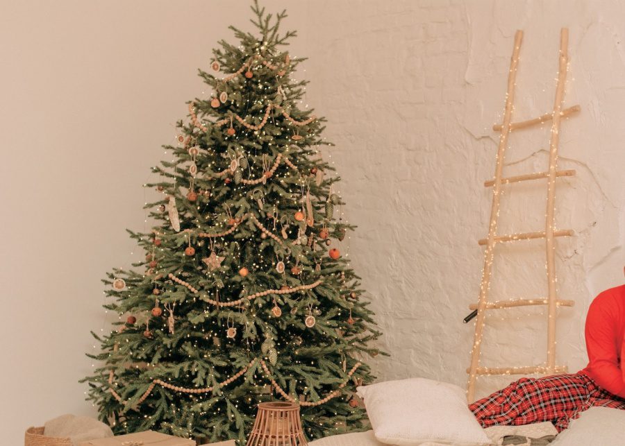 Reduce, reuse, and recycle your Christmas trees in HK