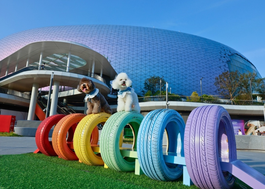 summer in hong kong kai tak sports park