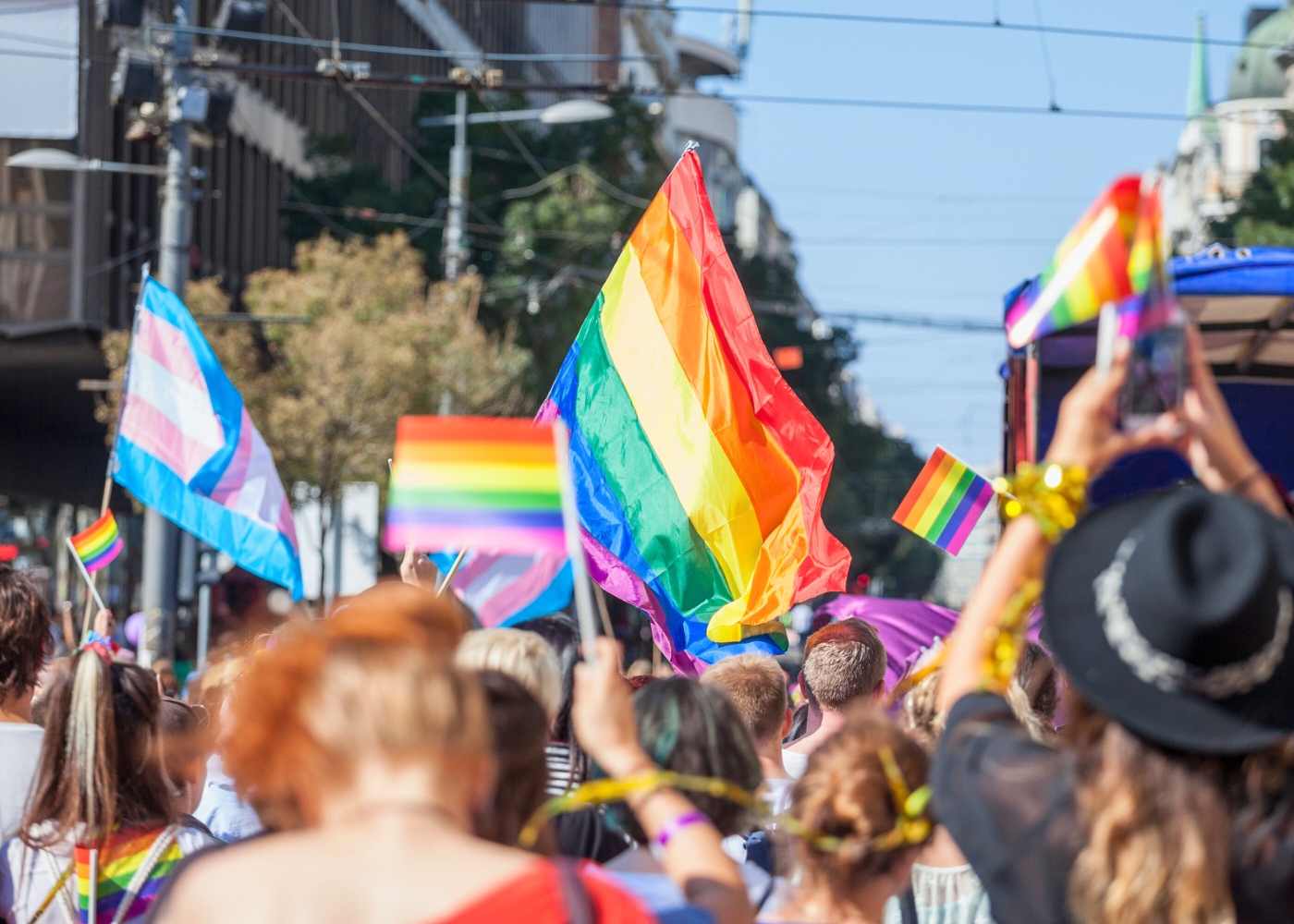 lgbtq plus terms lead image