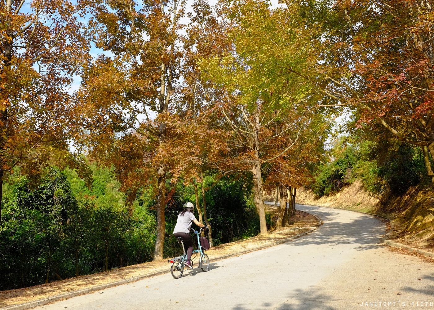 hong kong weather autumn fall