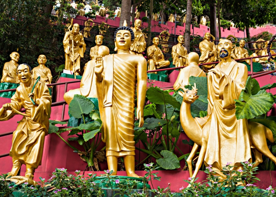things to do in hong kong buddhas monastery