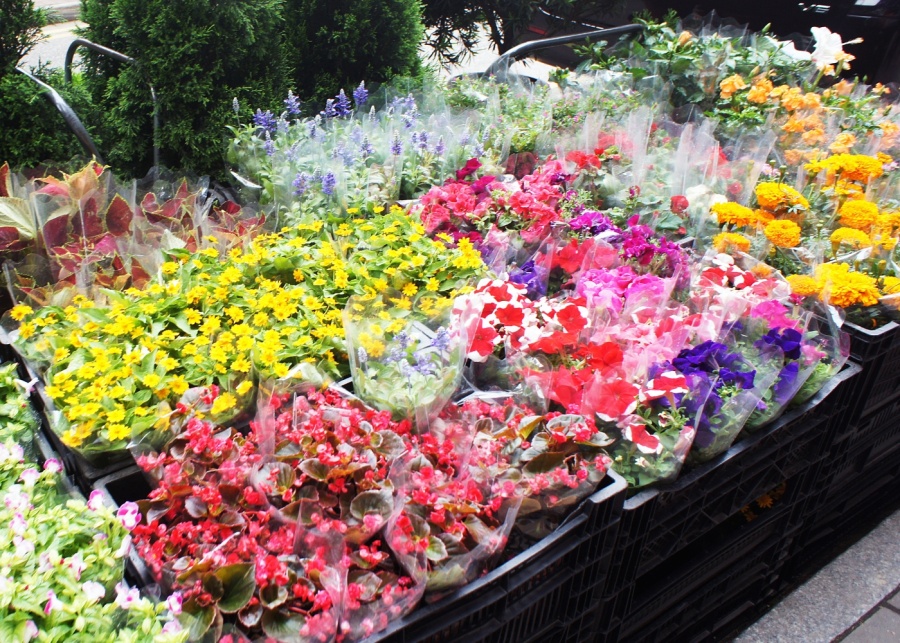 flower market