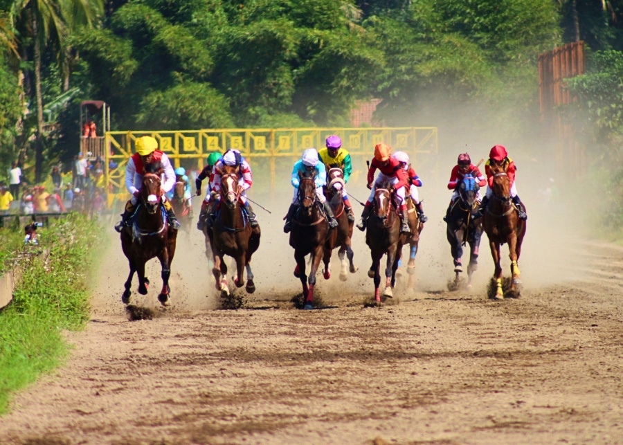 horse racing