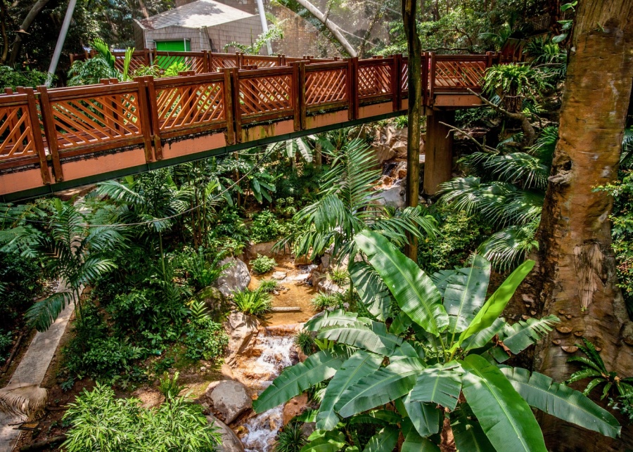 things to do in hong kong picnic