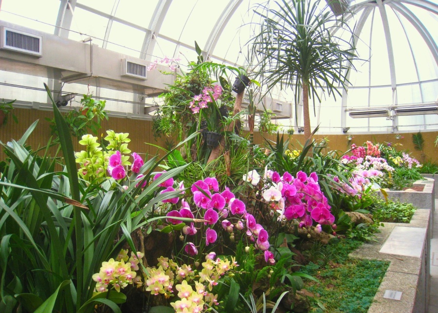 zoological and botanical garden