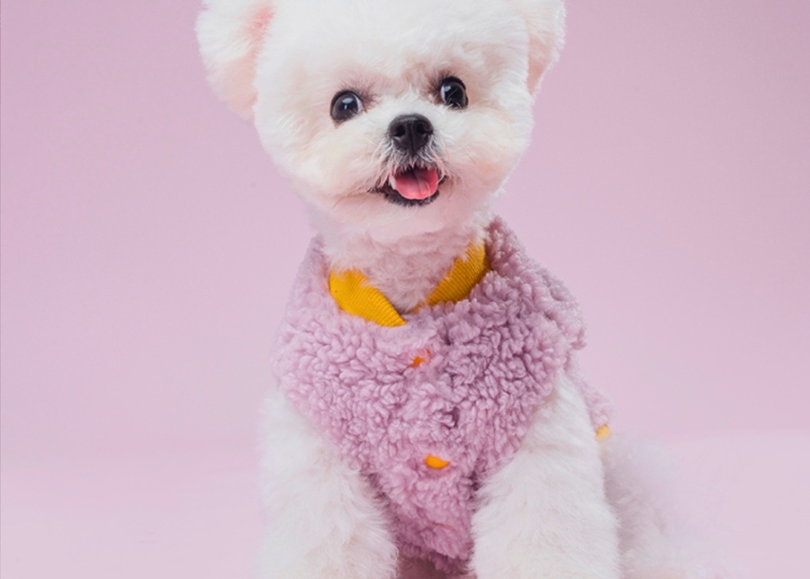 pet clothes easter bunny