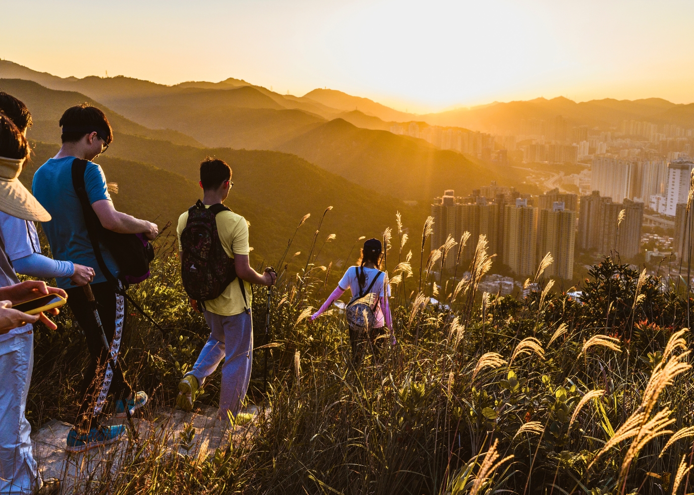 hiking hong kong silvergrass