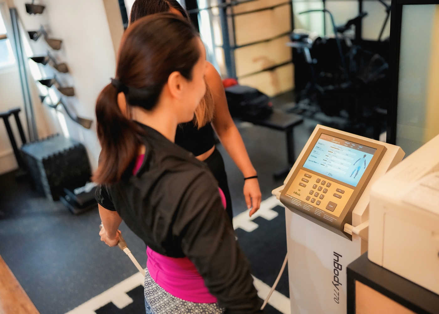body composition