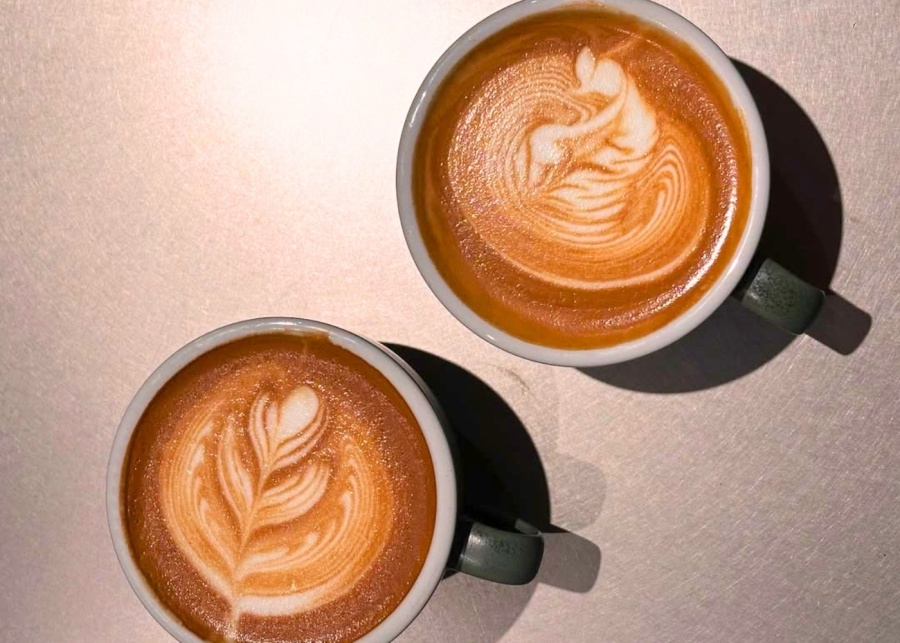 new cafes hong kong fn roastery