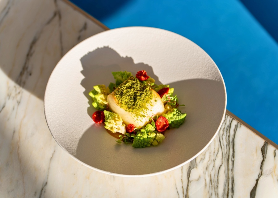 sustainable seafood festival